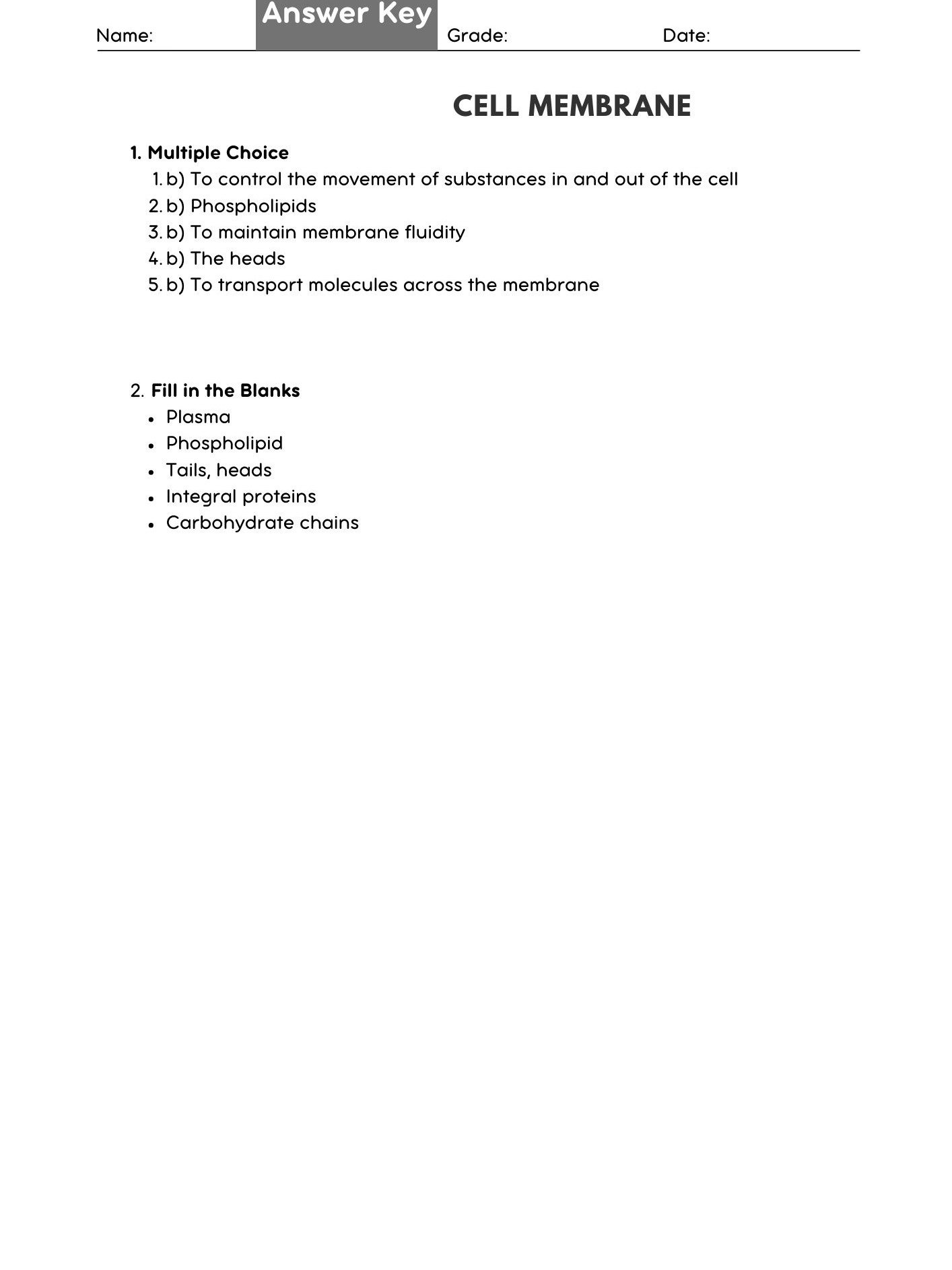 Cell Membrane Structure & Function Worksheet product image (2)