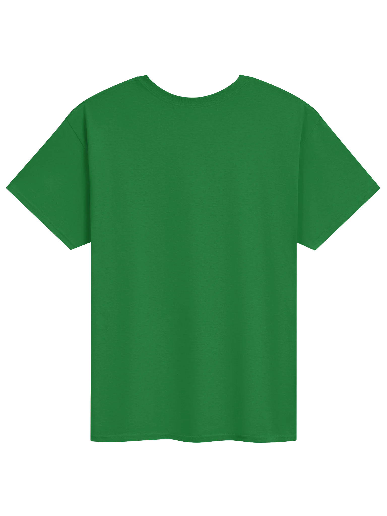 introverted but willing to discuss plants. Unisex Shirt product image (20)