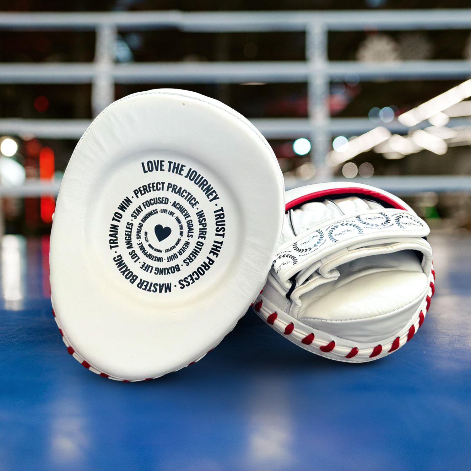 Pro Boxing Mitts 2026 Model+ Wraps & Bag product image (1)