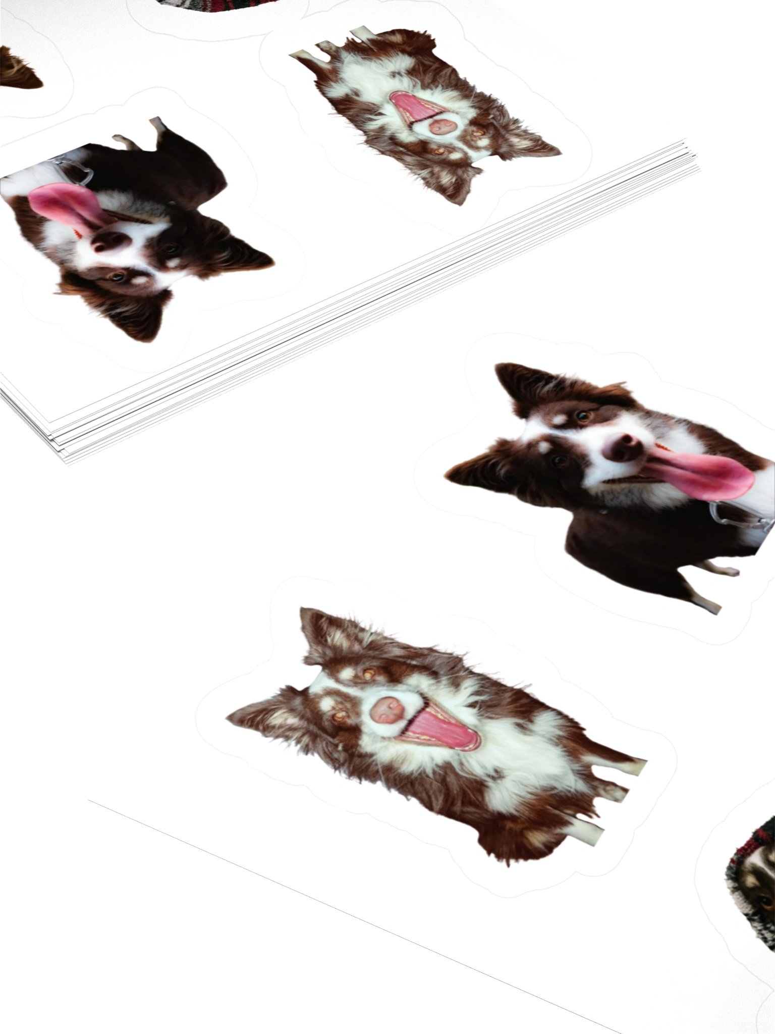 Aspen Stickers product image (11)
