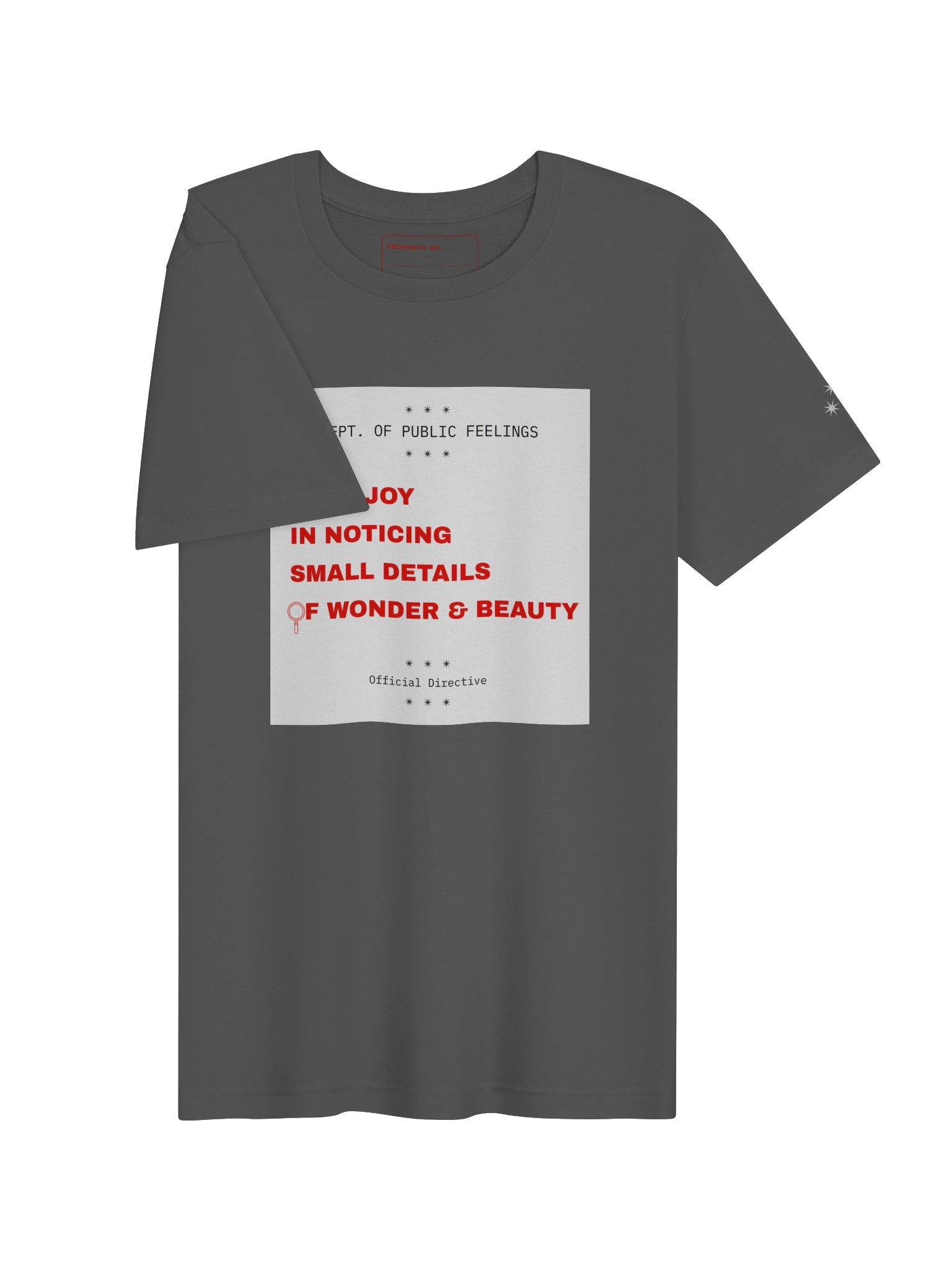 Take Joy in Noticing Small Details of Beauty and Wonder Tee product image (13)