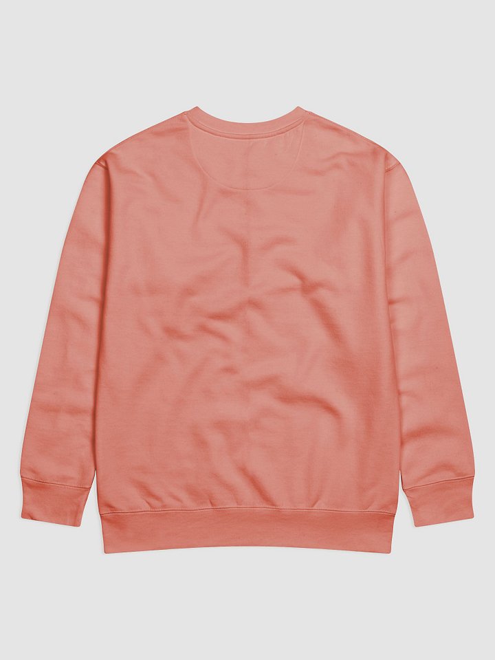 Balance of Justice Premium Sweatshirt product image (8)