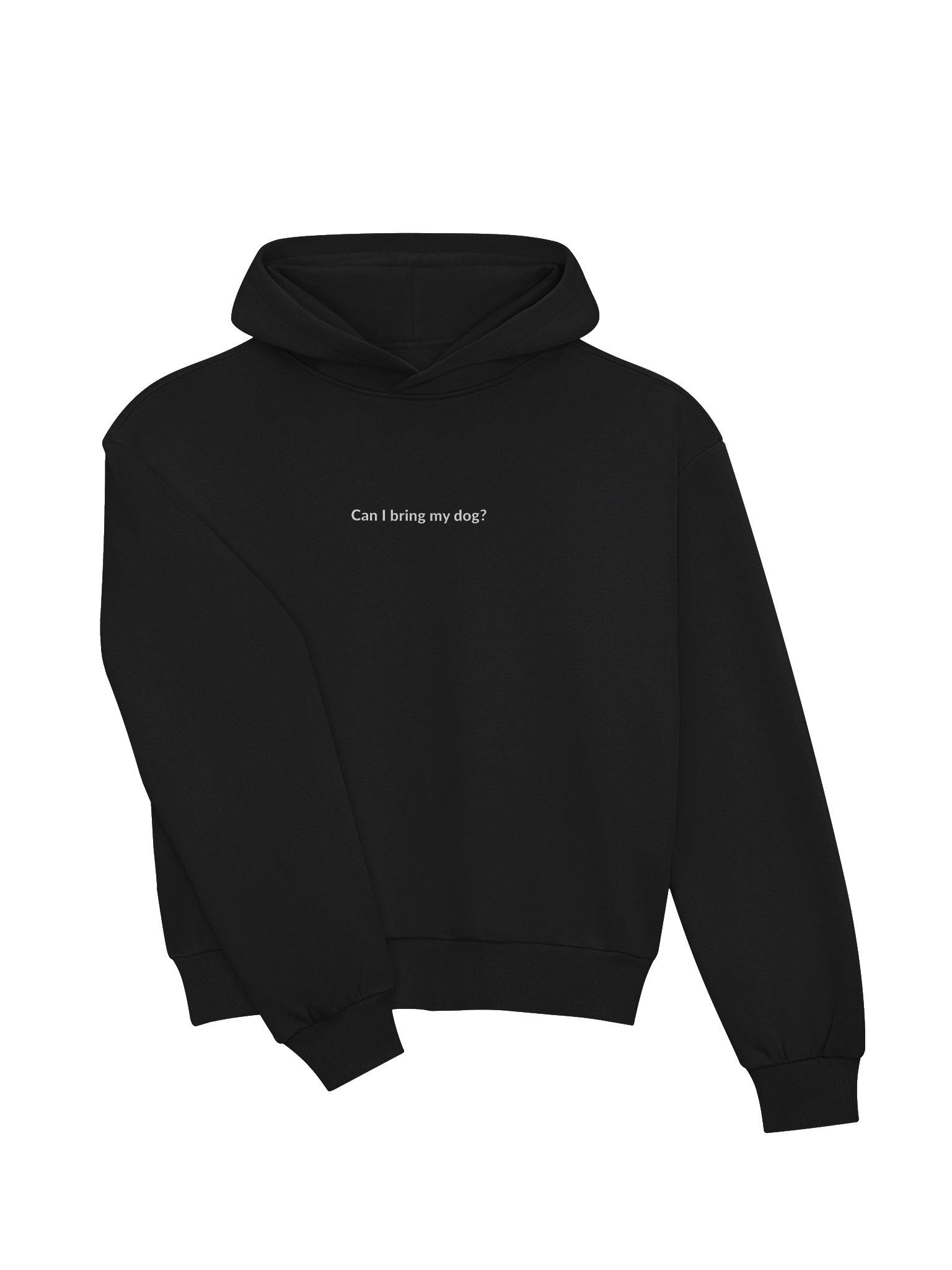 Can I Bring My Dog? Boxy Hoodie product image (15)