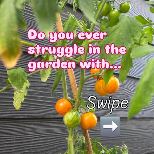 A simple garden planner that helps you know:
✨ What to plant
✨ When to start seeds
✨ When to transplant
✨ Use the Gardening J...