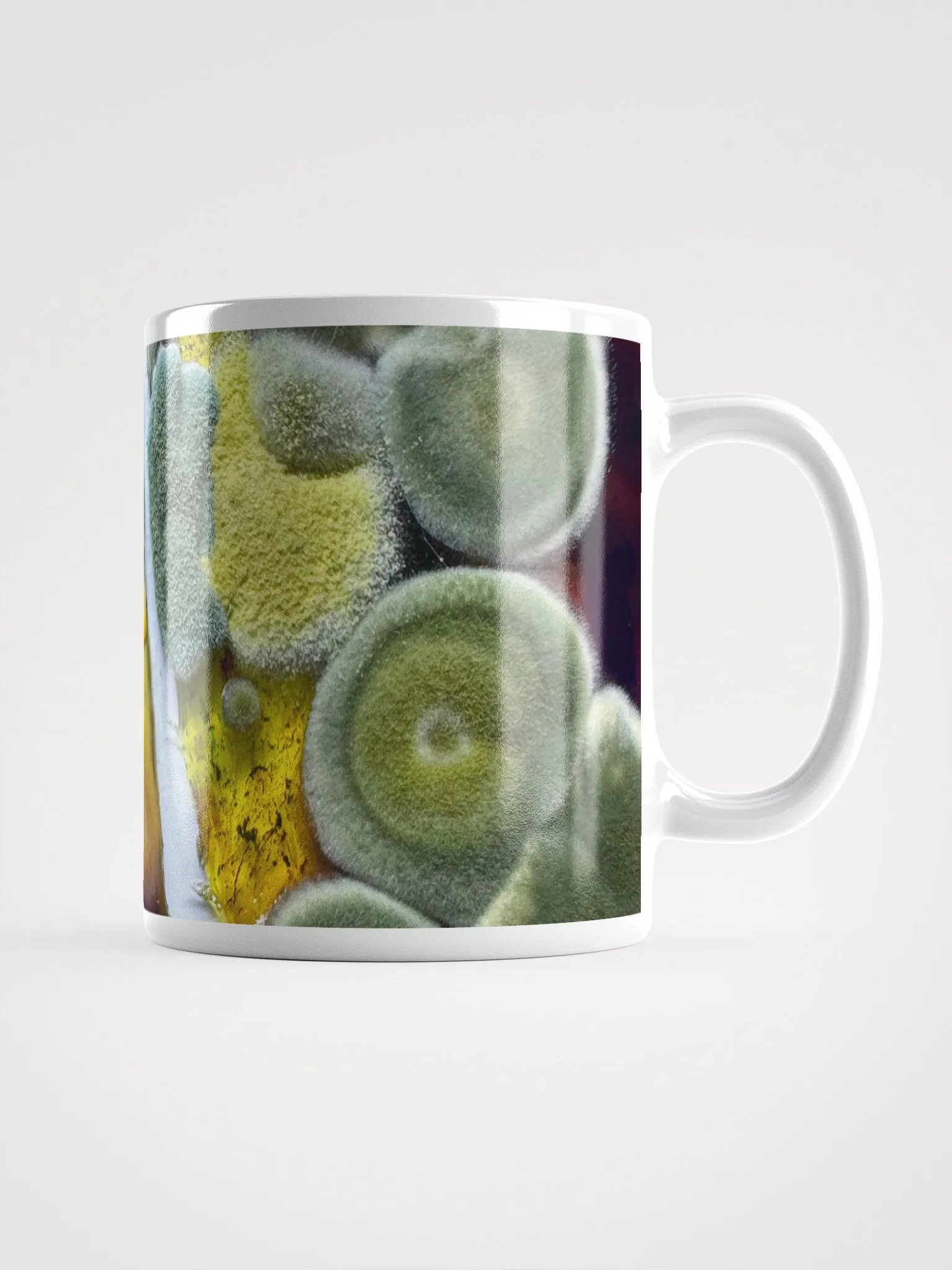 A bit late product image (3)