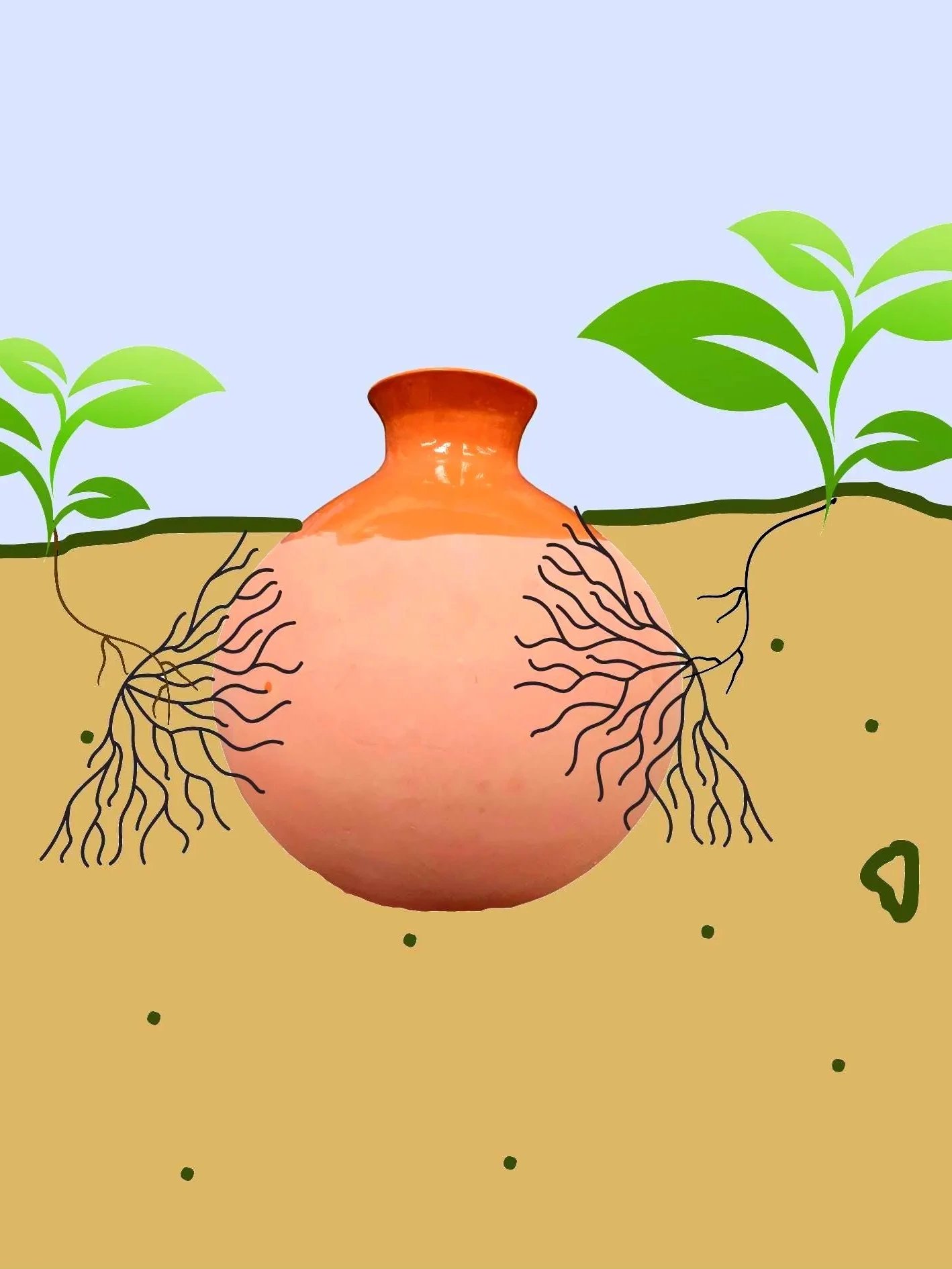 Tall Olla Gardening product image (4)