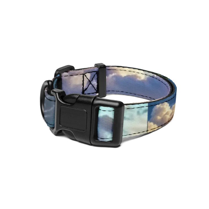 TC Collar product image (1)