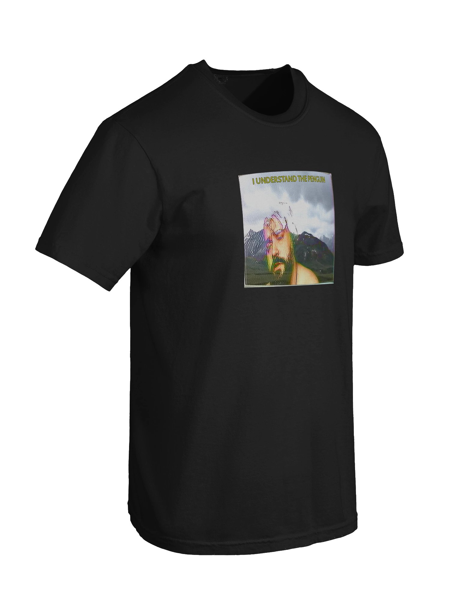 I UNDERSTAND THE PENGUIN SHIRT product image (70)