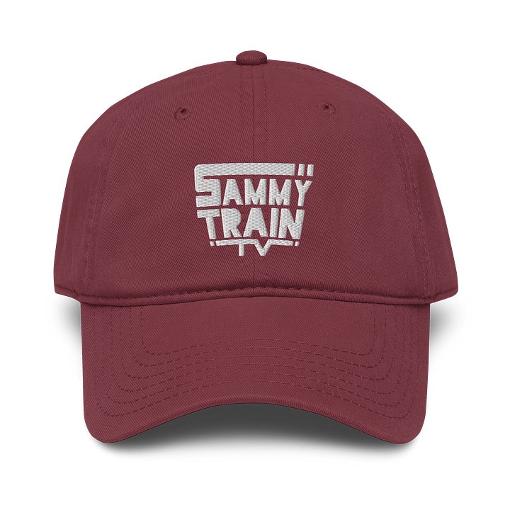 Logo Hat (Embroidered) product image (21)
