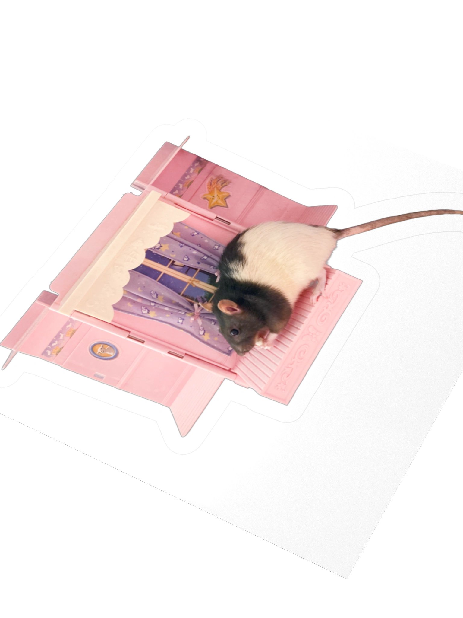 Honey Sticker product image (6)
