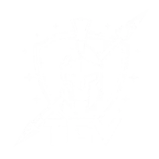 The Gaming Vanguard