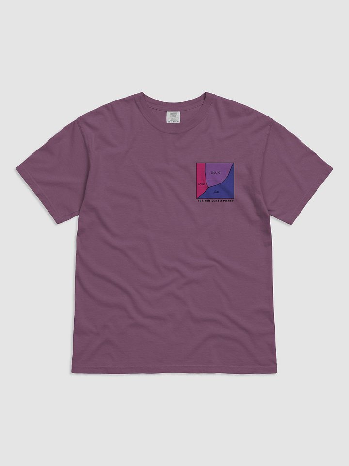It's Not Just a Phase- Bi T Shirt product image (6)