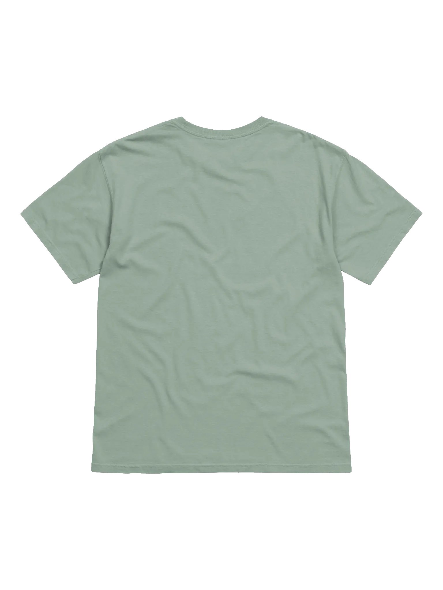 Fast Tshirt product image (4)