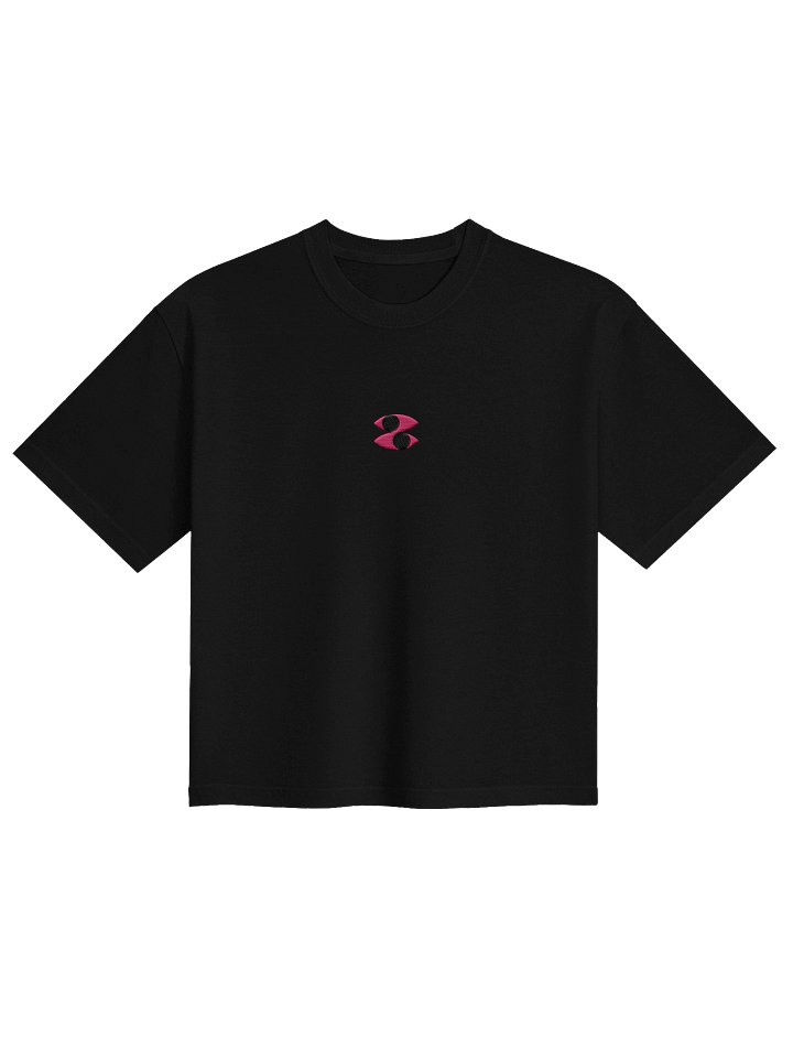 Embroidered Cropped Tee - Rose product image (1)