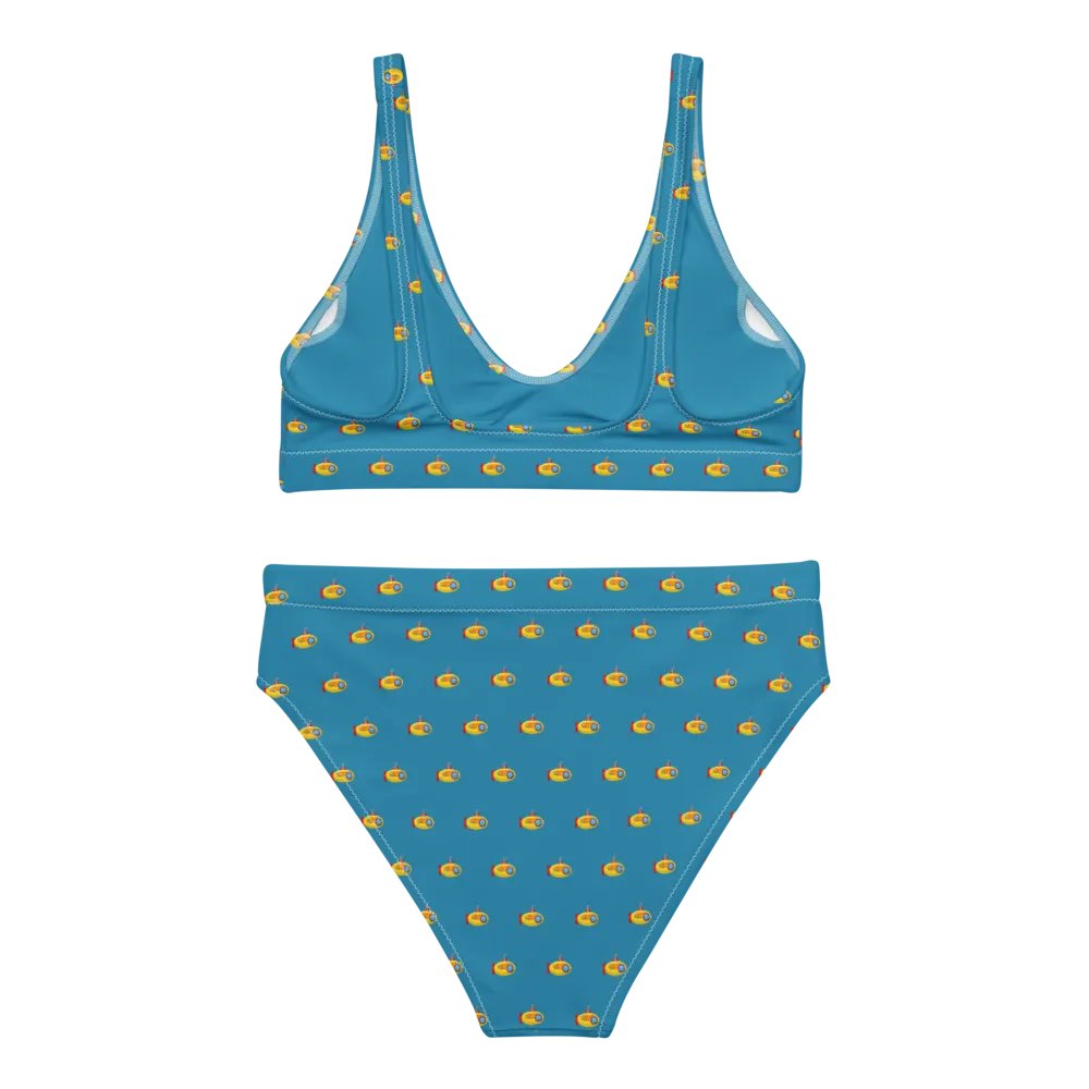 MSLA Sub Series - High Waisted Bikini product image (9)
