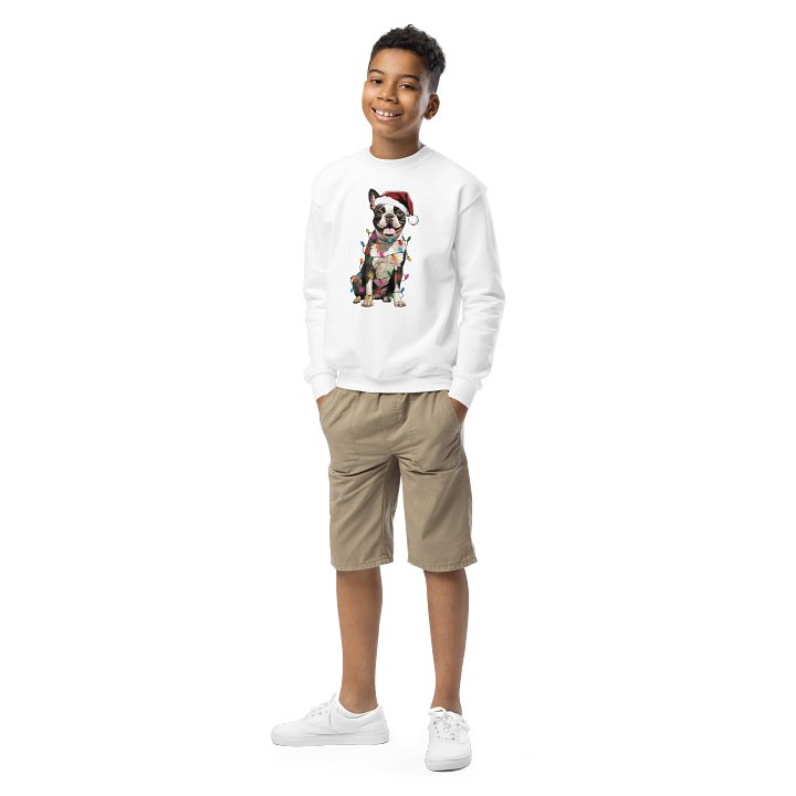 Funny Christmas Boston Terrier(Brindle) Youth Sweatshirt product image (1)