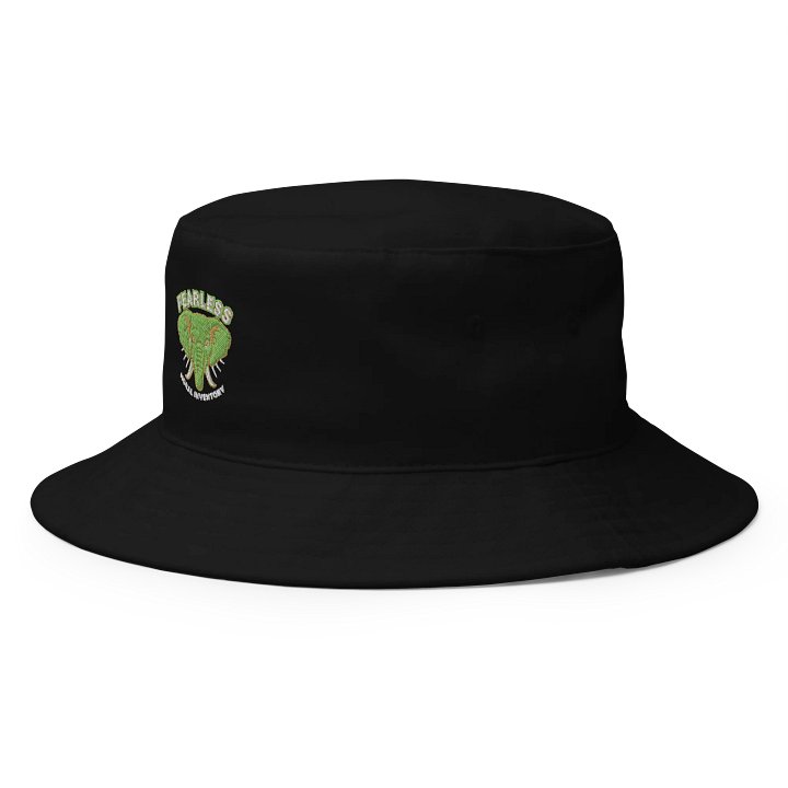 Fearless Moral Inventory Animal Lovers AA Sobriety Bucket Hat Kiwi Green Design product image (2)