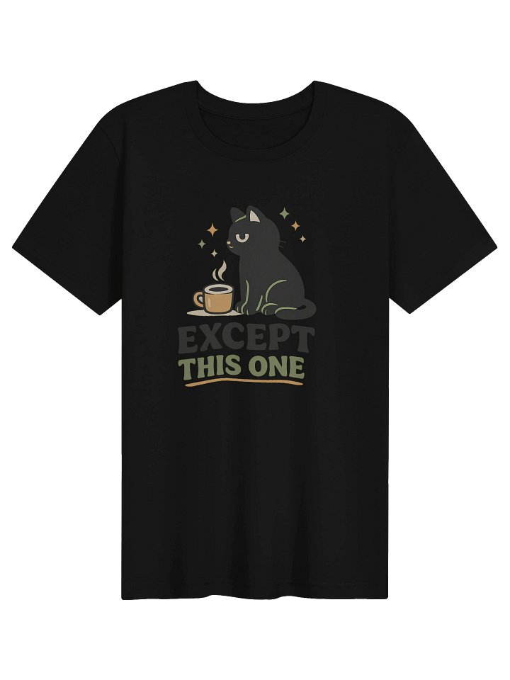 Except This One Cat Couple Tee, Cute Matching Graphic Shirt, Funny Relationship Shirt product image (101)