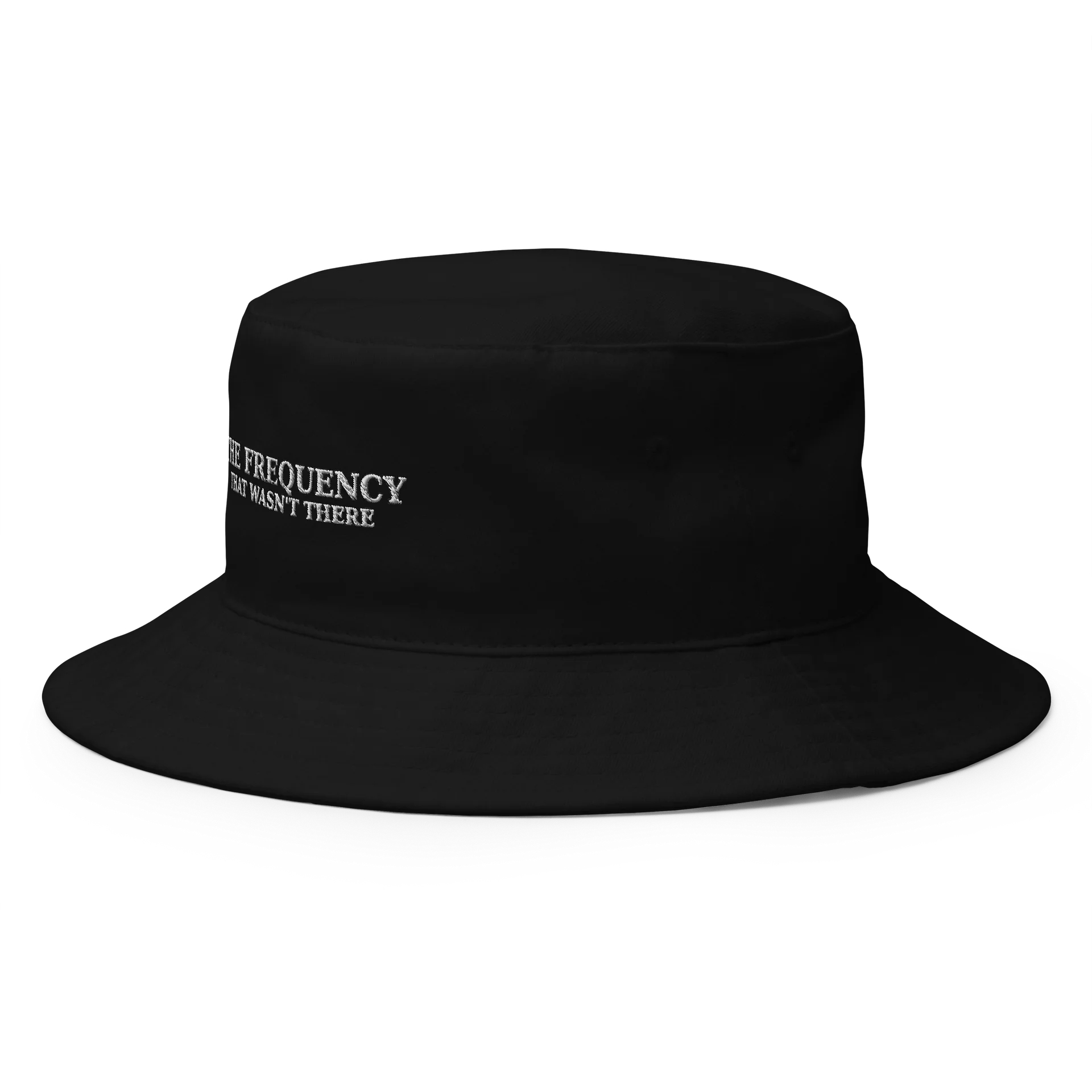 The Frequency that Wasn't There product image (2)