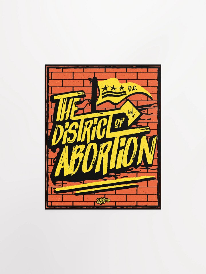 The District of Abortion 8x10 poster product image (1)