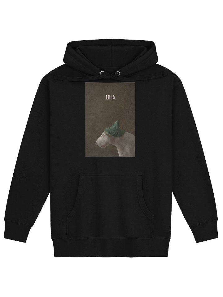 Lula in a Green Hat Hoodie product image (1)