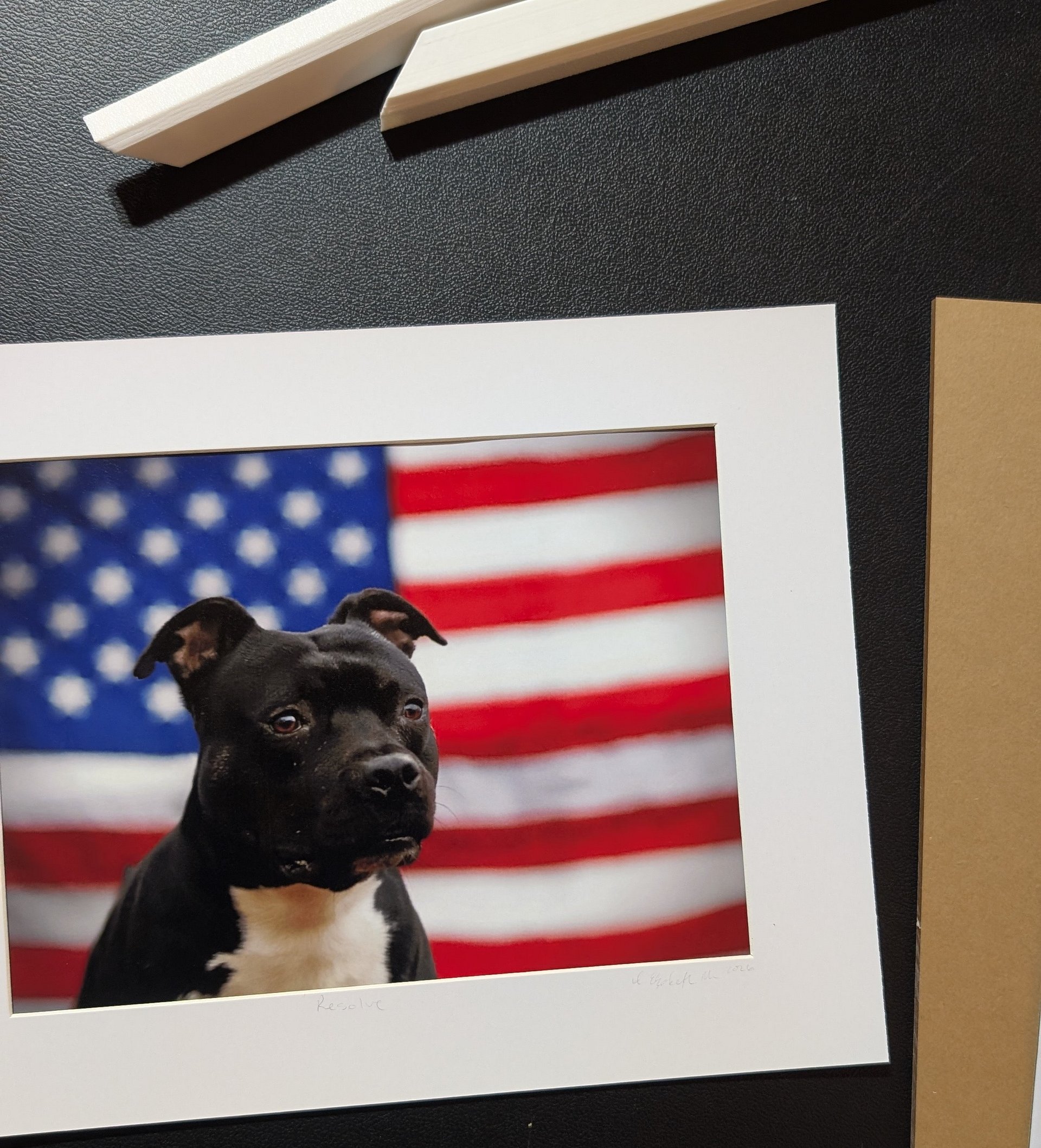Resolve Limited Edition Print – American Pit Bull Terrier USA Flag (Signed 5x7 matted 8x10) product image (1)