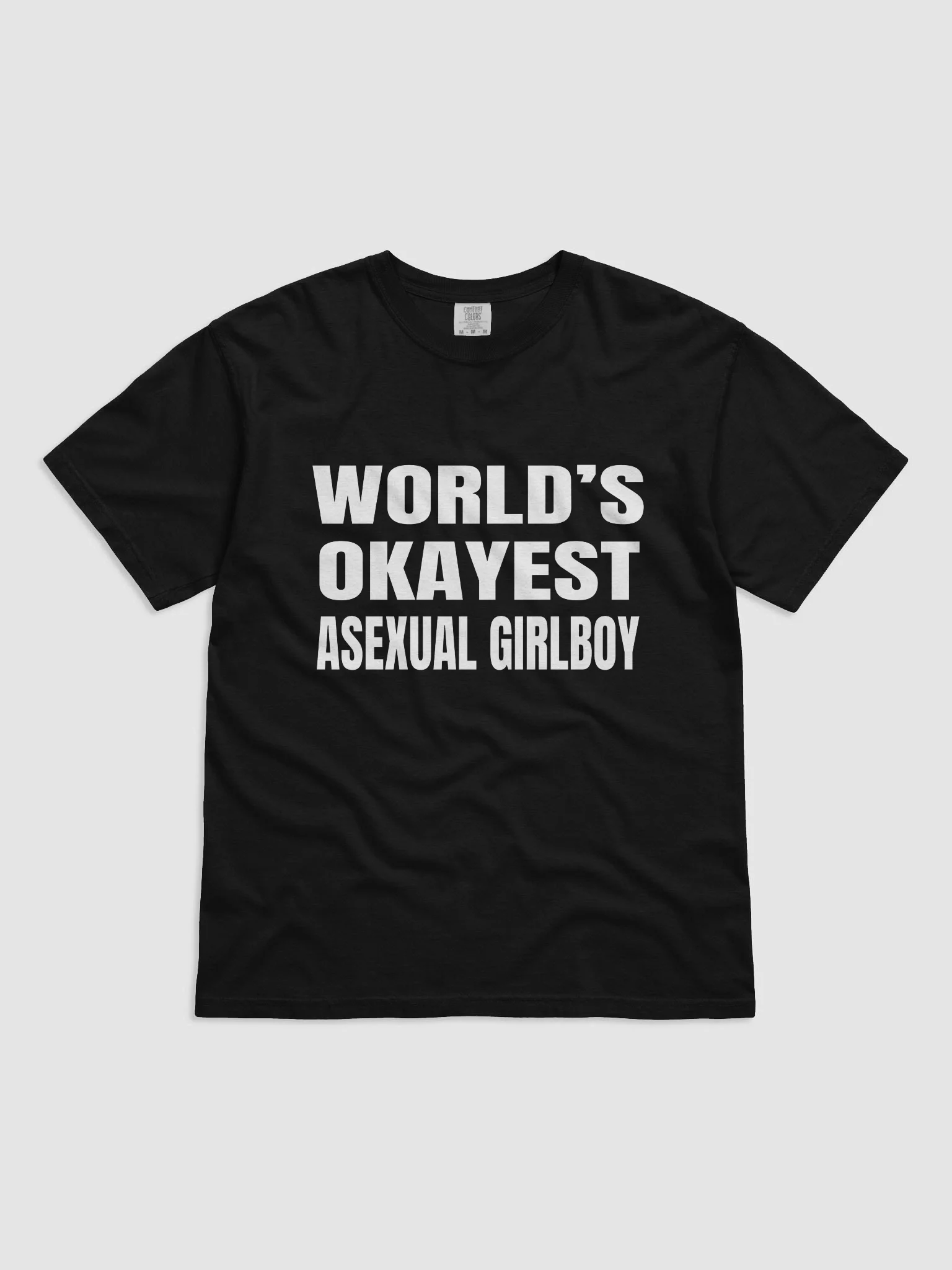 World's Okayest Asexual Girlboy T-Shirt
