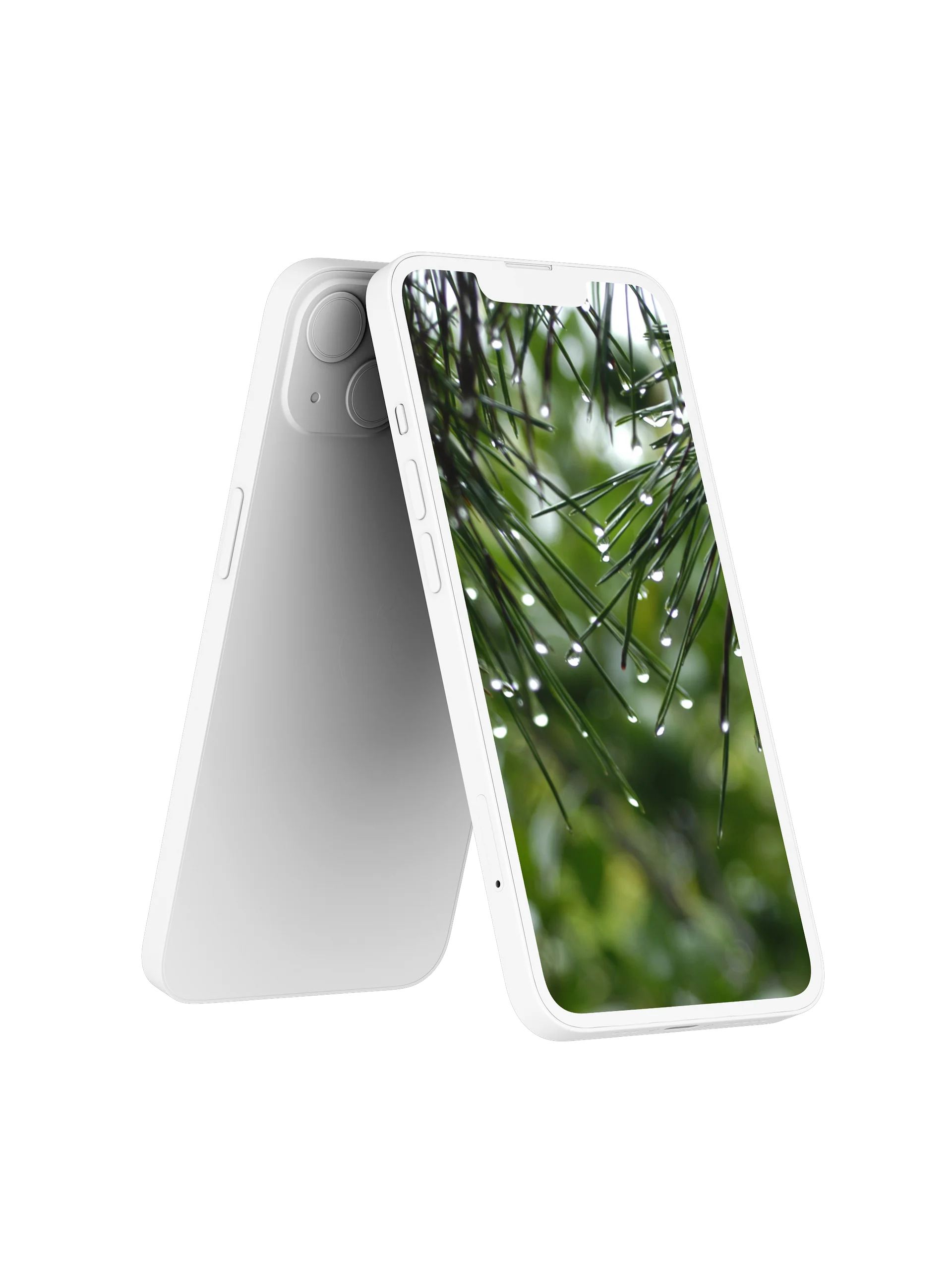 Pine Rain Digital Wallpaper Set product image (2)