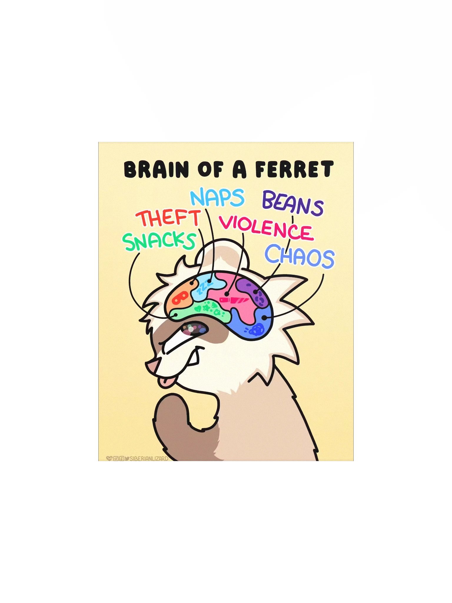 Ferret Brain | Poster product image (2)