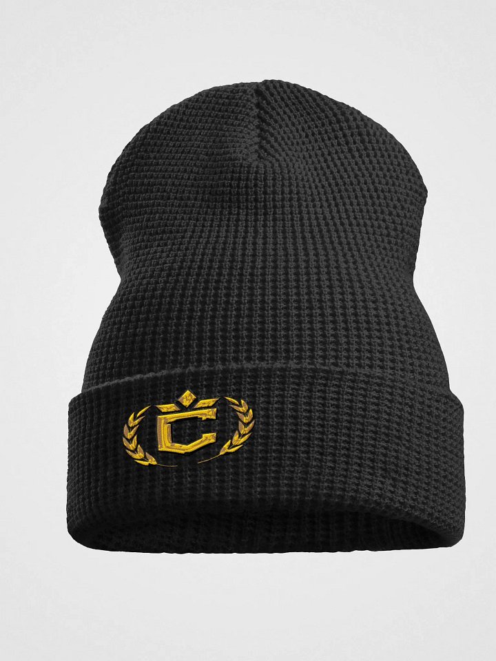 Champion's Emblem Waffle Beanie product image (1)