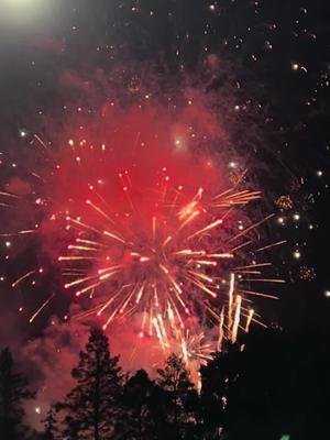 Happy Independence Day Everyone!! Thank you to everyone who served and continue to serve for our country and fight for our freedom!! #merica🇺🇸 #fyp #fypツ #dadlife 