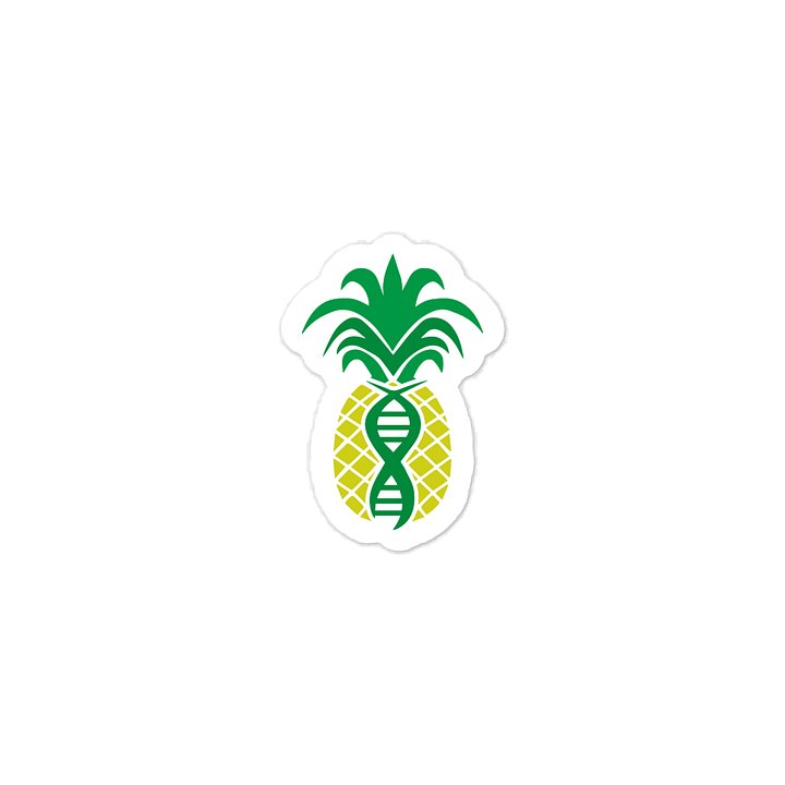 TVCI Logo | Pineapple double helix product image (1)