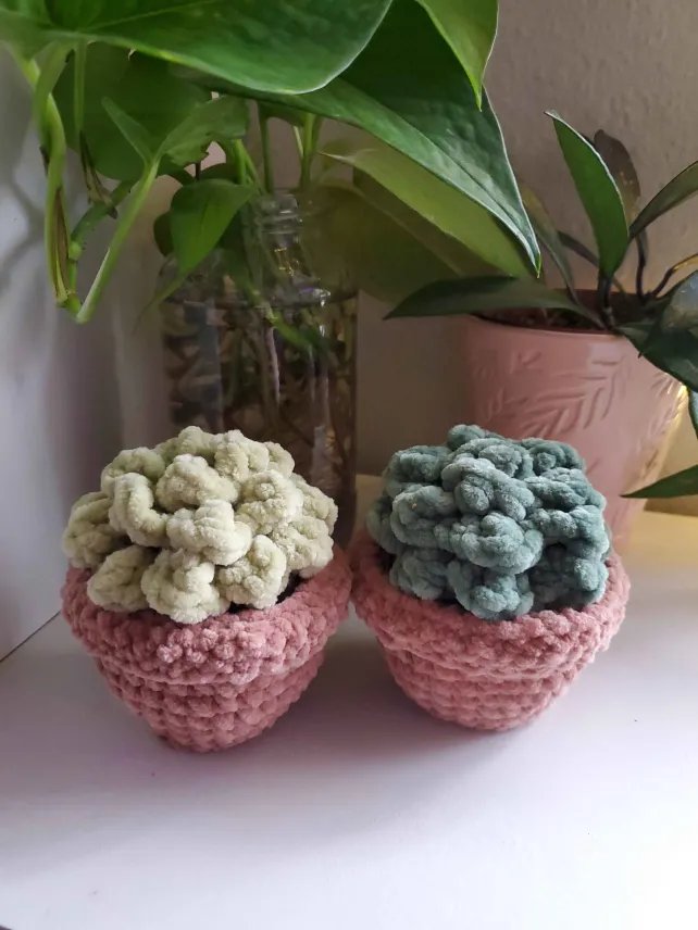 Succulent Friend product image (1)