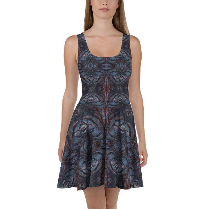 NordicEcho on Skater Dress product image (2)