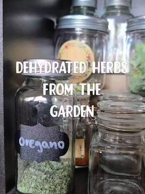 Storing dehydrated herbs from the garden