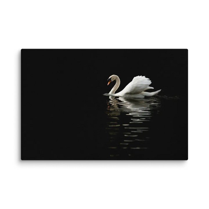 The Swans of St James product image (1)