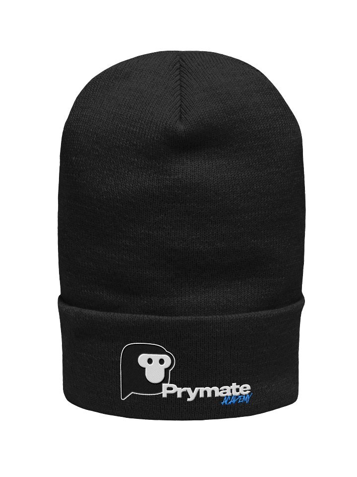 The Academy Beanie product image (1)