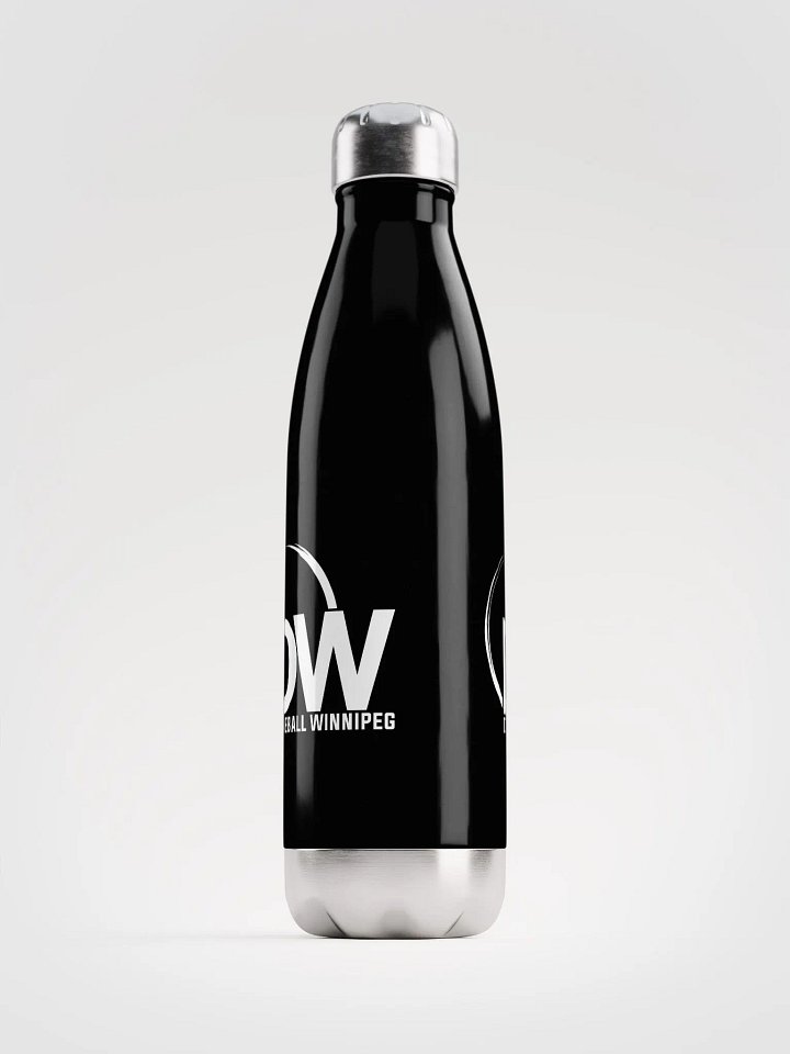 Dodgeball Winnipeg Stainless Steel Water Bottle product image (2)