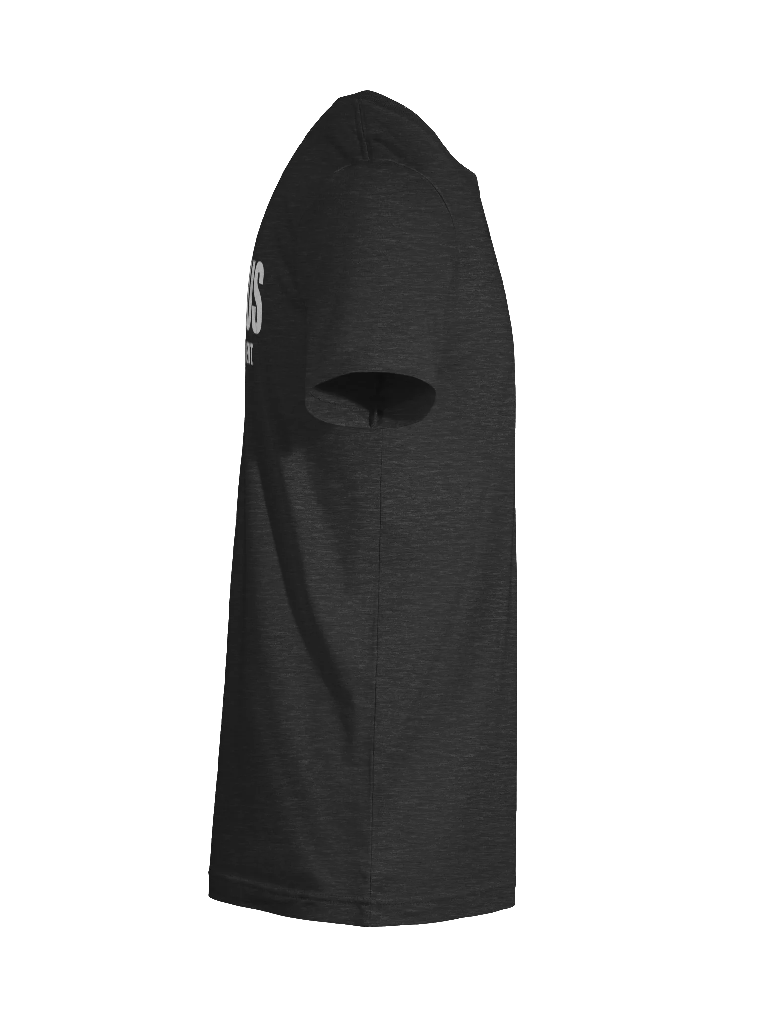 Gallus Back Text Bold Confident Tee product image (10)
