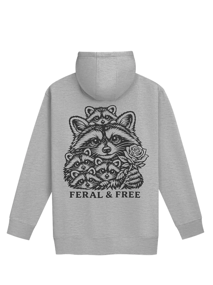 Raccoon Rehab Hoodie product image (2)