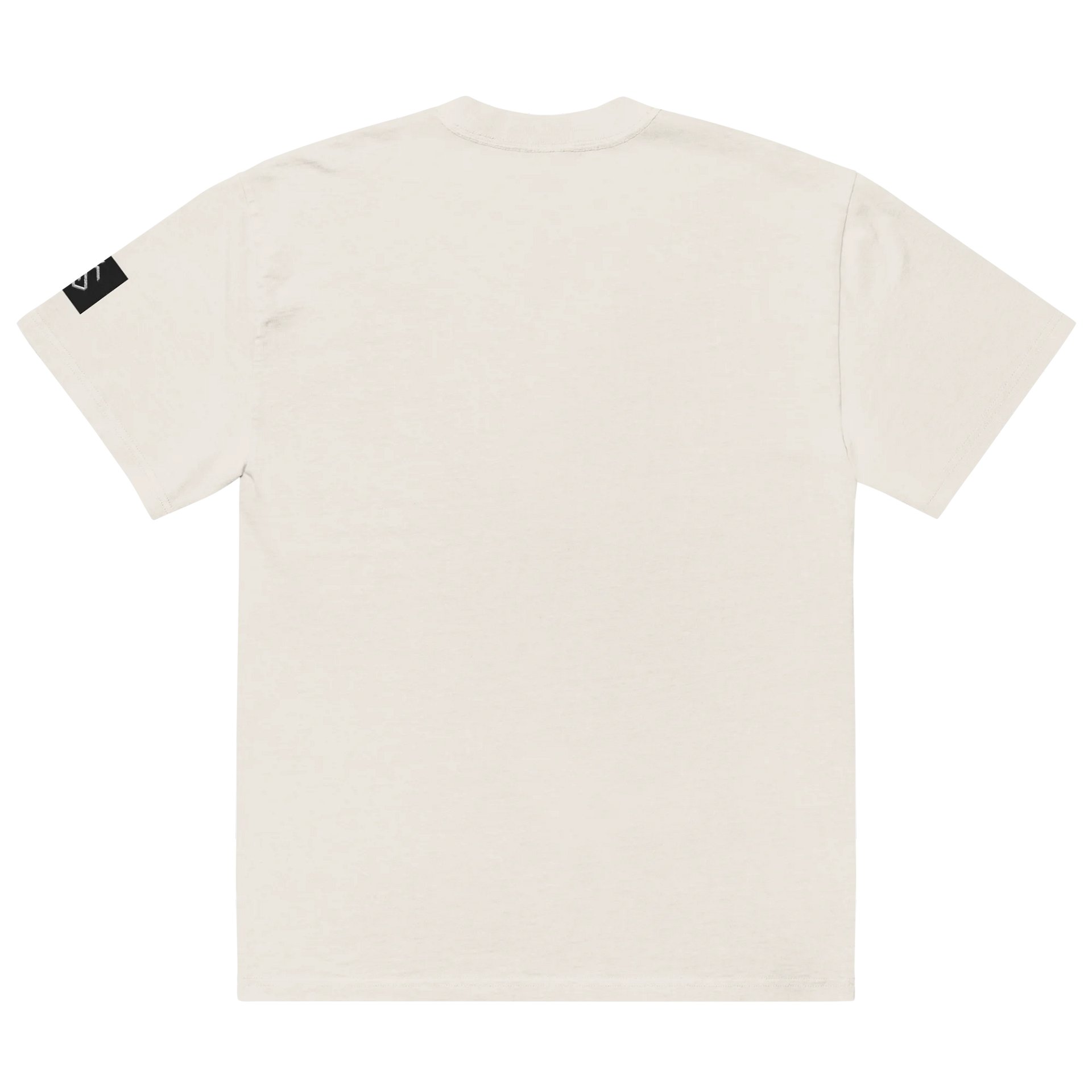 Calisthenics Ascend White T-Shirt product image (4)