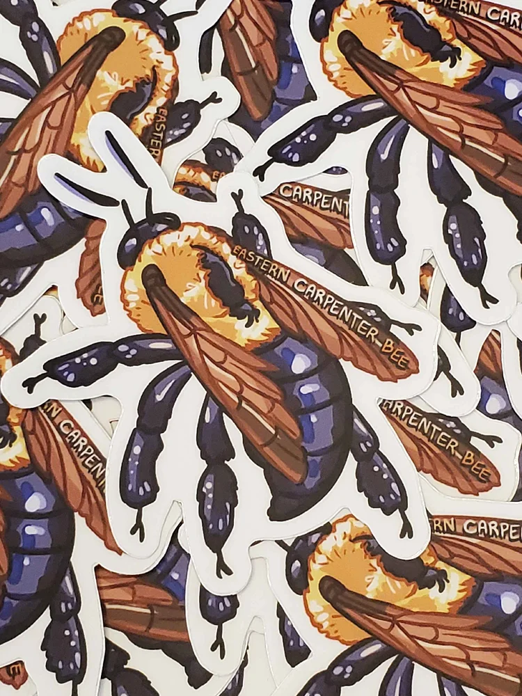 Eastern Carpenter Bee Sticker product image (3)