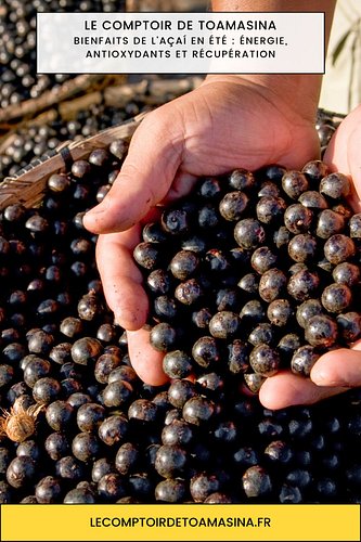 Bienfaits de l’açaí en été : énergie, antioxydants et récupération

Bienfaits de l’açaí en été : énergie, antioxydants et réc...