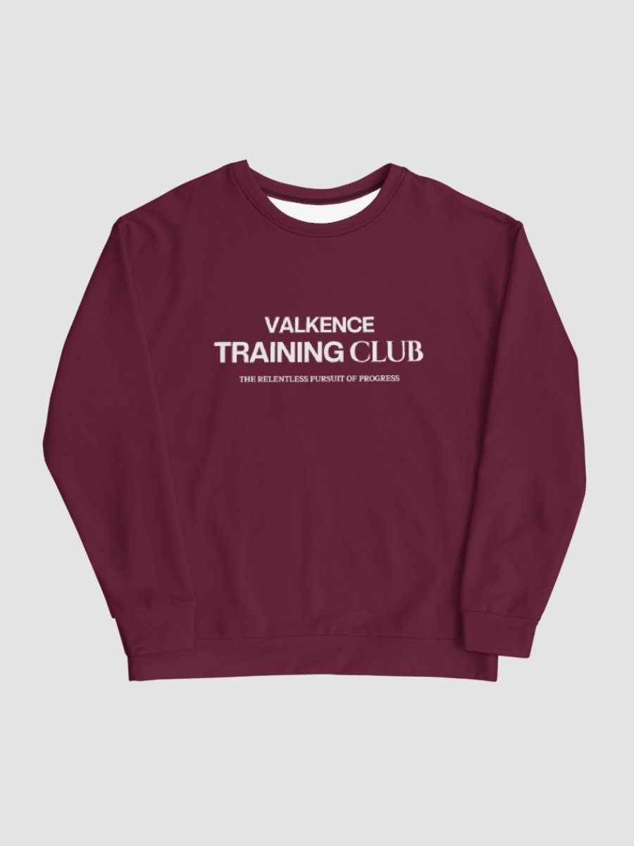 Training Club Sweatshirt - Plum product image (5)