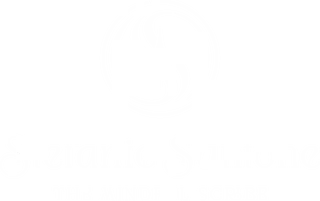 Stefanie Santone's Shop