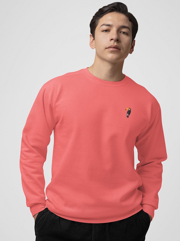 GUILLOVELO TOUCAN LINE DYED SWEATSHIRT product image (2)