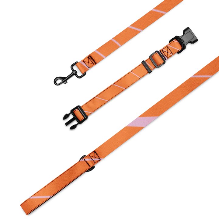 Striped Pet Collar & Leash Set product image (1)