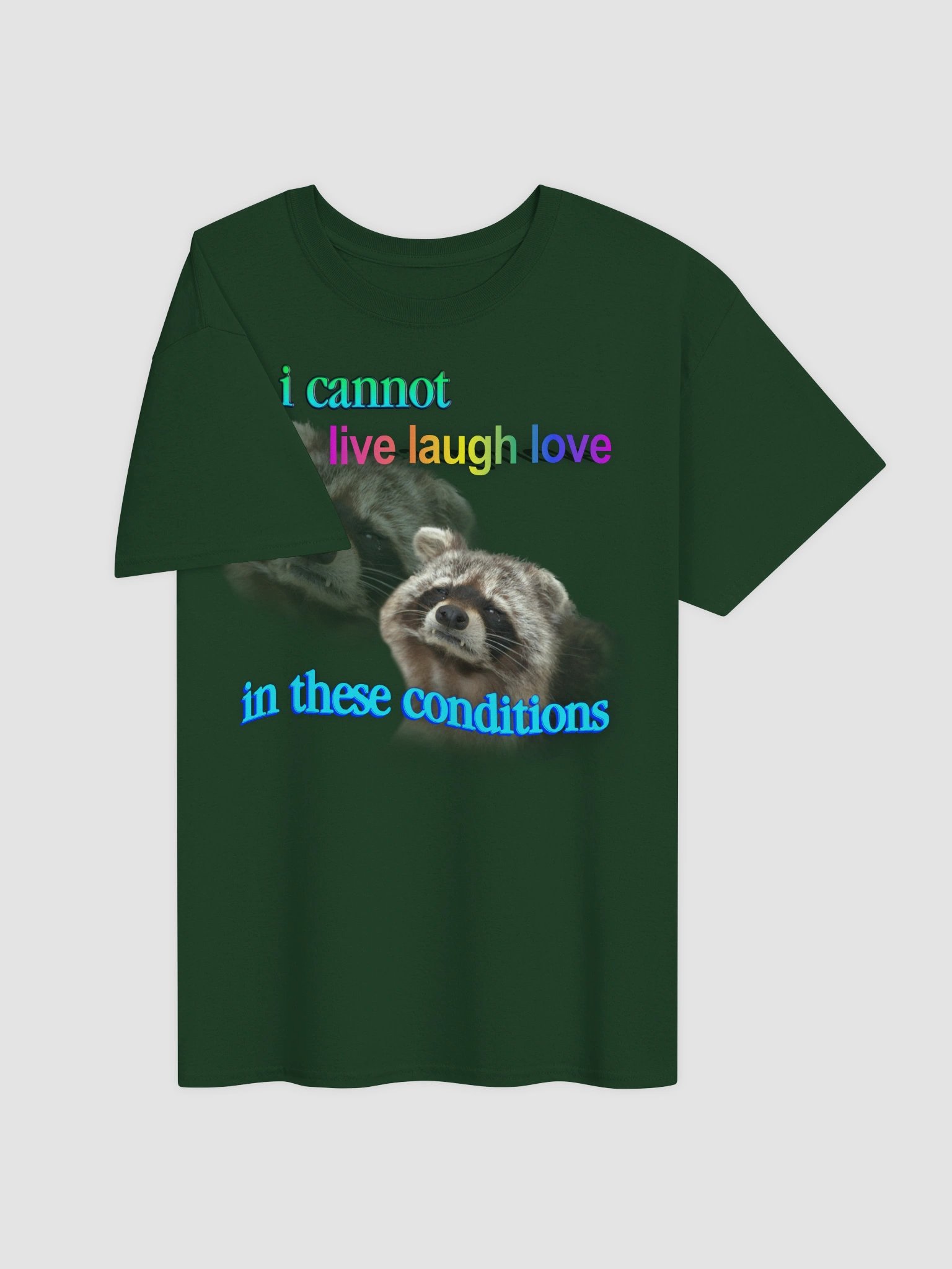 I cannot live laugh love in these conditions - raccoon T-shirt product image (4)