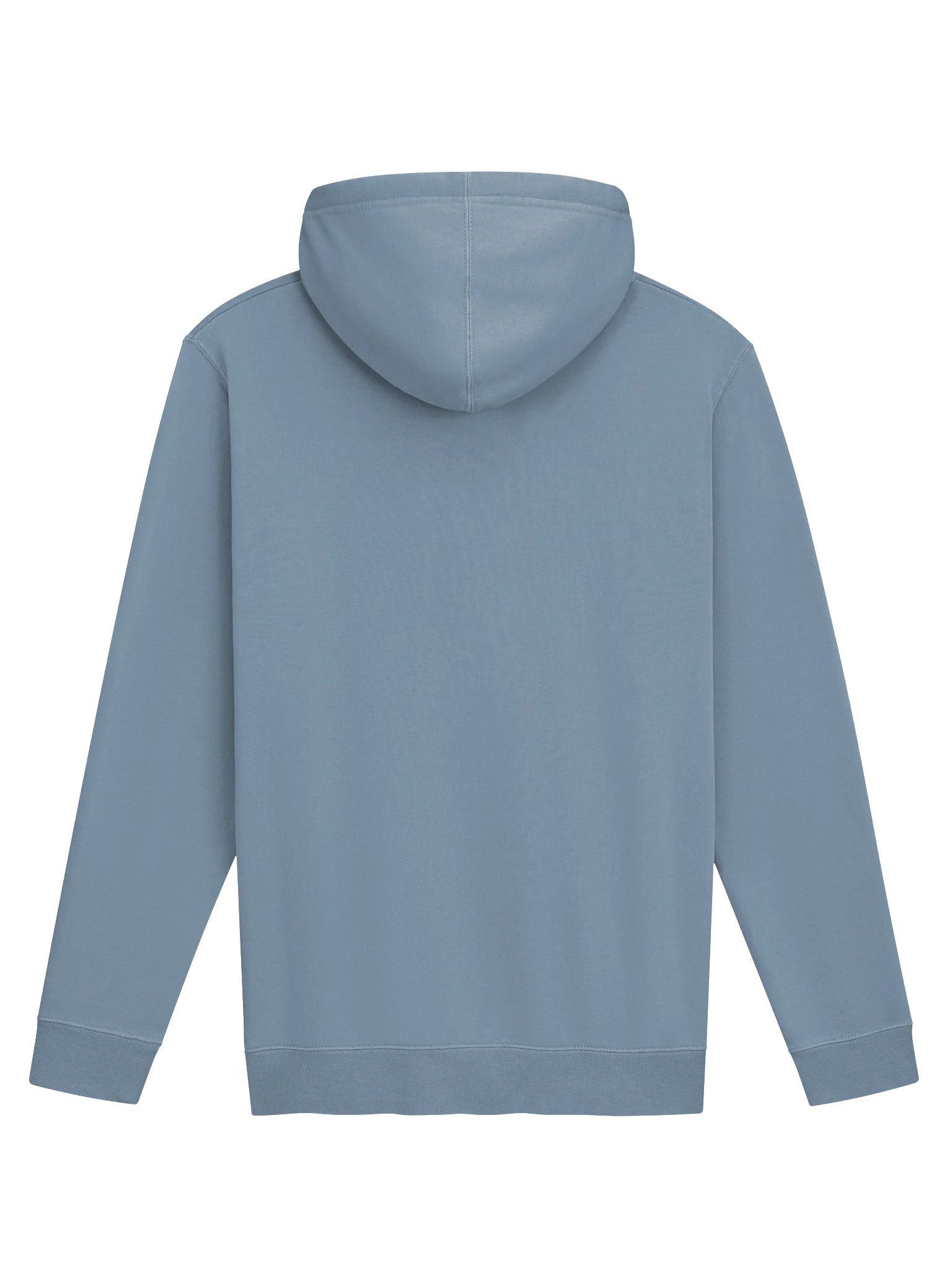 Icon Heavyweight Hoodie product image (2)