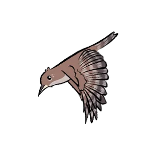 Aviaidan